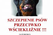 Szczepienie psów w Jazowsku i Kadczy.