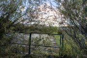 Tu na razie jest... ale będzie park tematyczny 
