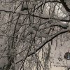 fot.Maria;"Kapliczka Bukowy Potok"