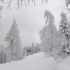 fot.Sabina;"Obidza na zimowo"