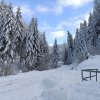 fot.Ewelina;"Obidza"