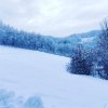 fot.Sławomir;"Brzyna"