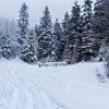 fot.Iwona;"Łazy Brzyńskie - Bukowiec"