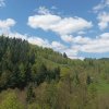 fot.Katarzyna;"Zielona wiosna"