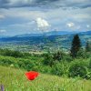 fot.Katarzyna;"Piękne widoki" 