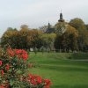 fot.Maria;"Nadchodzi jesień"
