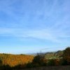 fot.Paweł;"Brzyna"