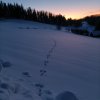 fot.Ewelina;"Zima w Brzynie"