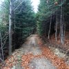 fot.Anna;"W drodzę na Sopatowiec"