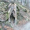 Przełęcz Krowiarki - Markowe Szczawiny - Babia Góra