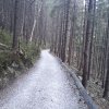 Przełęcz Krowiarki - Markowe Szczawiny - Babia Góra