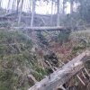 Przełęcz Krowiarki - Markowe Szczawiny - Babia Góra