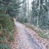 Przełęcz Krowiarki - Markowe Szczawiny - Babia Góra