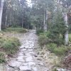 Przełęcz Krowiarki - Markowe Szczawiny - Babia Góra