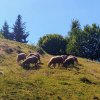fot.Czytelniczka;"BRZYNA i jej urokliwy pejzaż "