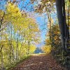 fot.Justyna;"Jesień"