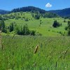 fot.Joanna;"Zieleń"