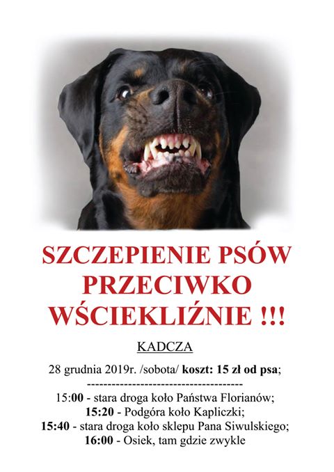 szczepienie kadcza