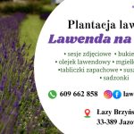 Lawenda na Czasie Lawenda na Czasie