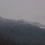 Obidza pod śniegiem?
