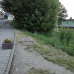 Takie kwiatki w Jazowsku!