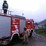 Problem z szerszeniami? Naczelnik OSP w Kadczy radzi