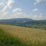 Zagorzyn „pokazał moc” – okręg nr 6 Zagorzyn „pokazał moc” – okręg nr 6