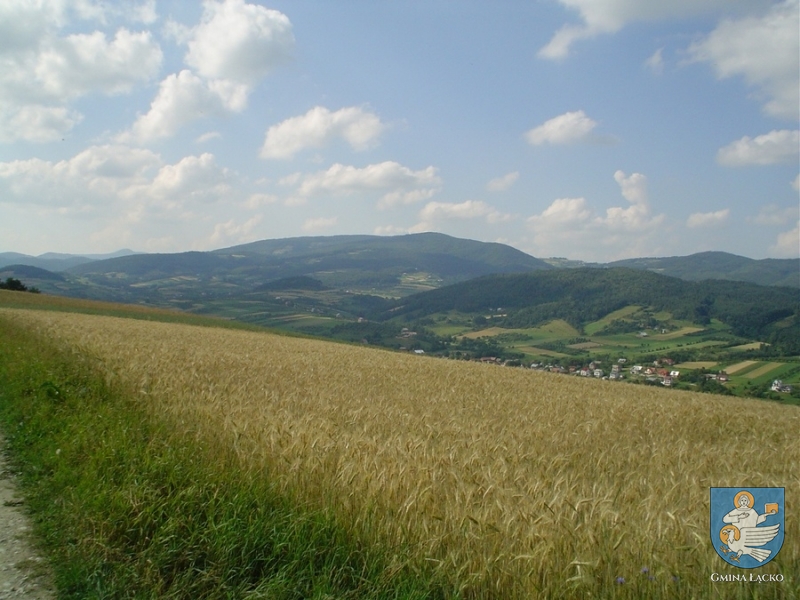 zagorzyn