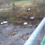 Śmieci w Obidzkim Potoku Śmieci w Obidzkim Potoku
