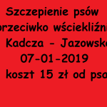 Kadcza, Jazowsko – szczepienie psów Kadcza, Jazowsko – szczepienie psów