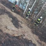 Nie wypalaj traw – grożą srogie kary Nie wypalaj traw – grożą srogie kary
