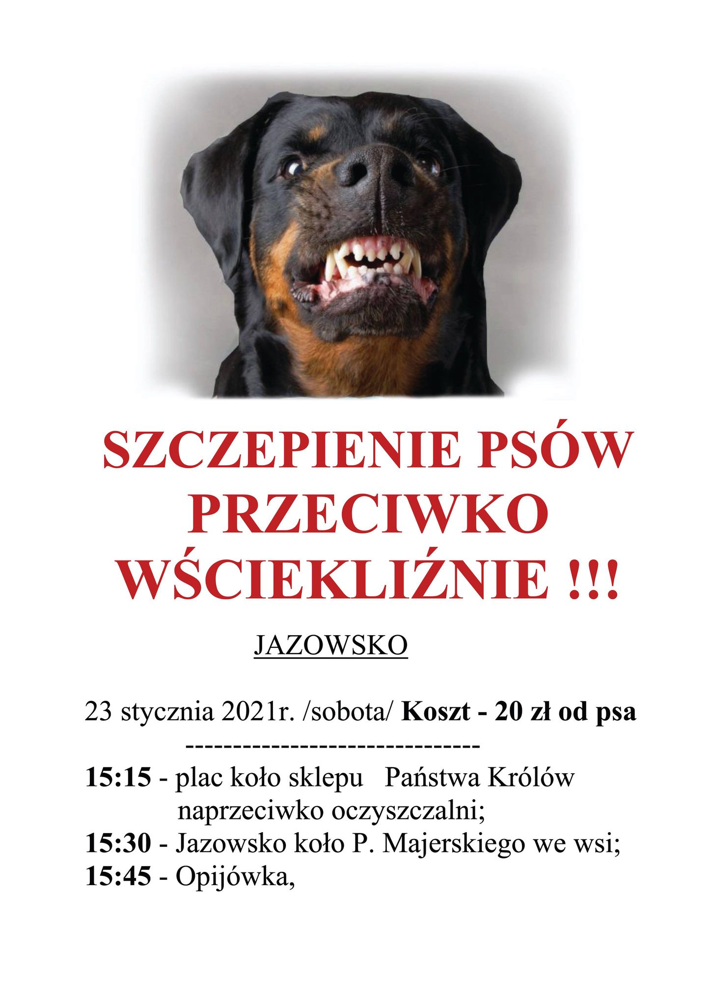 szczepienia jazowsko2021