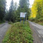 Msza święta przy kapliczce w Brzynie Msza święta przy kapliczce w Brzynie