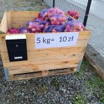 Jabłkomat – świeże jabłka na wciągnięcie ręki