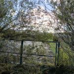 Tu na razie jest… ale będzie park tematyczny Tu na razie jest… ale będzie park tematyczny